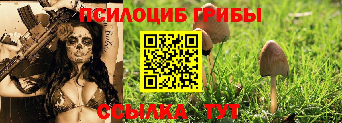 Псилоцибиновые грибы MAGIC MUSHROOMS Курчатов