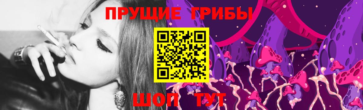 Курчатов  Псилоцибиновые грибы ЛСД  где купить наркоту  Вход с VPN 